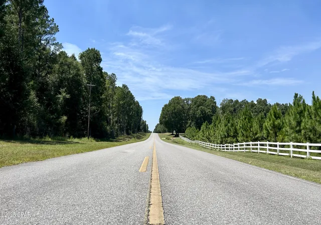 40th image of 0 Hwy 147, Laurel Hill, FL 32567 | MLS# 781406