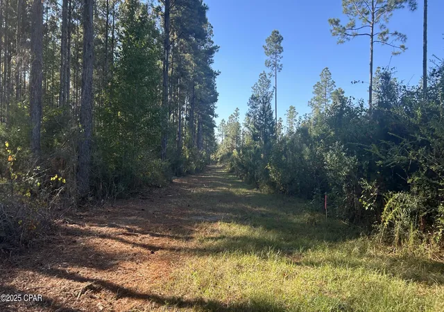 Photo 3 of Land for sale at Xxx Co 147 Hwy, Laurel Hill, FL 32567 | MLS# 781406 | Listing updated on 2026-10-05