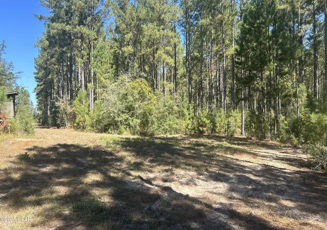 Photo 4 of Land for sale at Xxx Co 147 Hwy, Laurel Hill, FL 32567 | MLS# 781406 | Listing updated on 2026-10-05