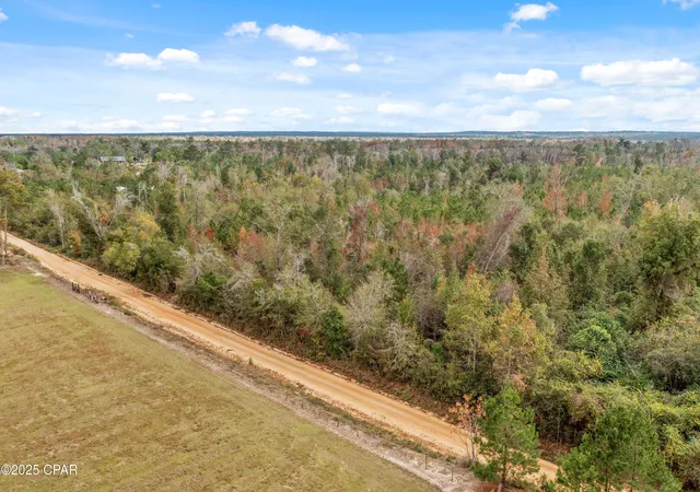 Homes for sale in Cottondale, FL | 000 Perry Rd, Cottondale, FL 32431 | MLS# 781480