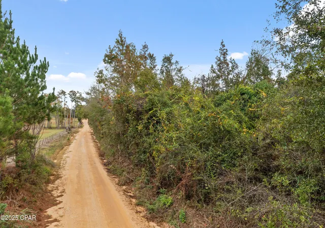 Homes for sale in Cottondale, FL | 000 Perry Rd, Cottondale, FL 32431 | MLS# 781480