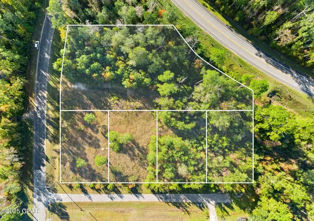 22nd image of 135 Canning Dr, Wewahitchka, FL 32465 | MLS# 781695