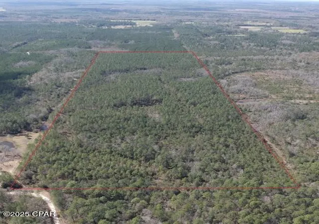 1st image of 60 Acres Jw Miller Rd, Bonifay, FL 32425 | MLS# 781925