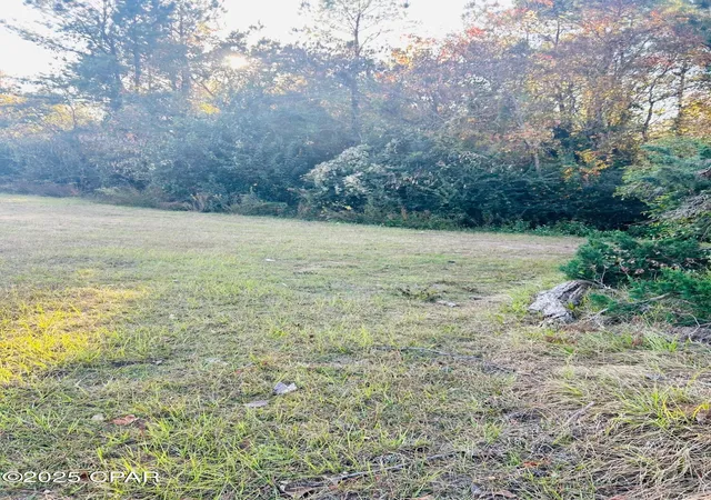 2nd image of 0000 Fl 73, Marianna, FL 32448 | MLS# 781933