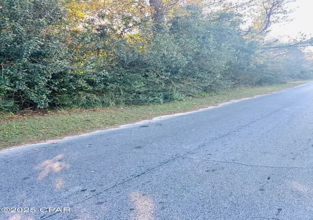 3rd image of 0000 Fl-73, Marianna, FL 32448 | MLS# 781933