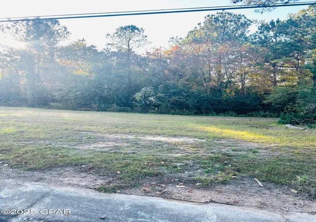 5th image of 0000 Fl 73, Marianna, FL 32448 | MLS# 781933