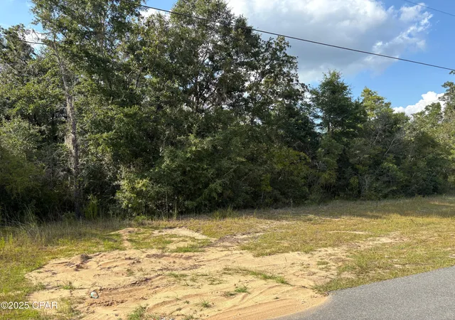 Homes for sale in Chipley, FL | 0 Airmont Dr, Chipley, FL 32428 | MLS# 782013