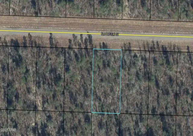Homes for sale in Chipley, FL | 0 Bloomfield St, Chipley, FL 32428 | MLS# 782060