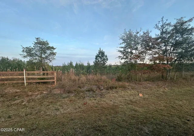 10th image of 000 Bright Prospect Rd, Marianna, FL 32448 | MLS# 782114