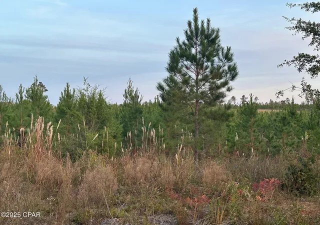 2nd image of 000 Bright Prospect Rd, Marianna, FL 32448 | MLS# 782114