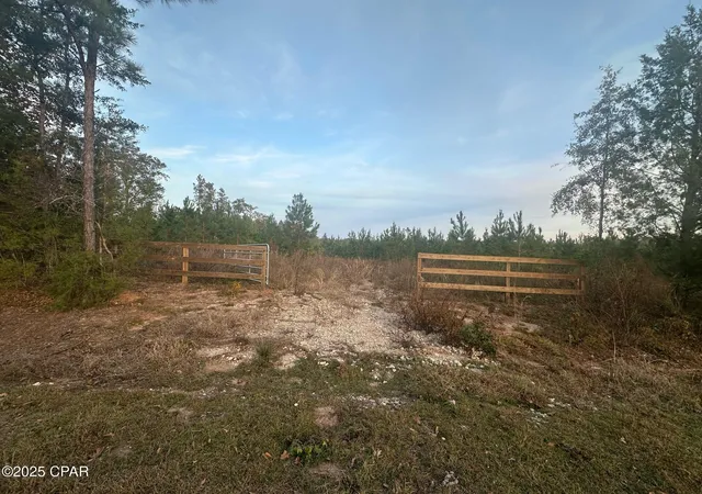 3rd image of 000 Bright Prospect Rd, Marianna, FL 32448 | MLS# 782114