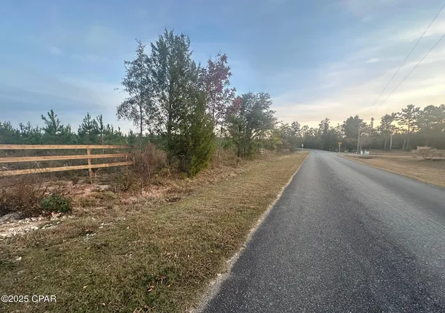 4th image of 000 Bright Prospect Rd, Marianna, FL 32448 | MLS# 782114