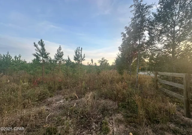 5th image of 000 Bright Prospect Rd, Marianna, FL 32448 | MLS# 782114