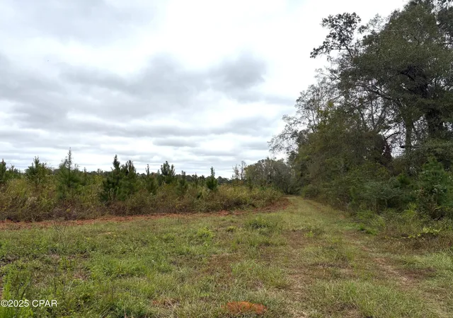 3rd image of Tbd N North Golden Rd, Cottondale, FL 32431 | MLS# 782134