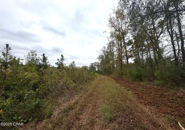 4th image of Tbd N North Golden Rd, Cottondale, FL 32431 | MLS# 782134