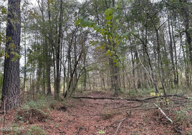 5th image of Tbd N North Golden Rd, Cottondale, FL 32431 | MLS# 782134