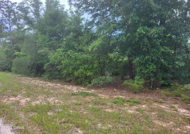 Photo 1 of Land for sale at 00 Cherry Cir, Marianna, FL 32448 | MLS# 782291 | Listing updated on 2026-06-06