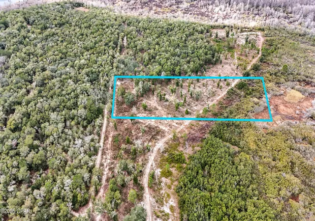 1st image of Pine Log Rd, Chipley, FL 32428 | MLS# 782347