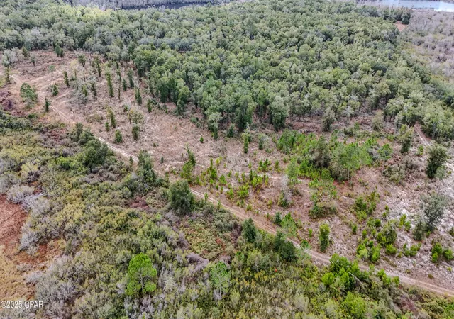 3rd image of - Pine Log Rd, Chipley, FL 32428 | MLS# 782347