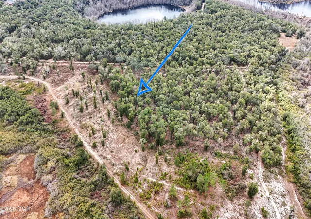 8th image of Pine Log Rd, Chipley, FL 32428 | MLS# 782347