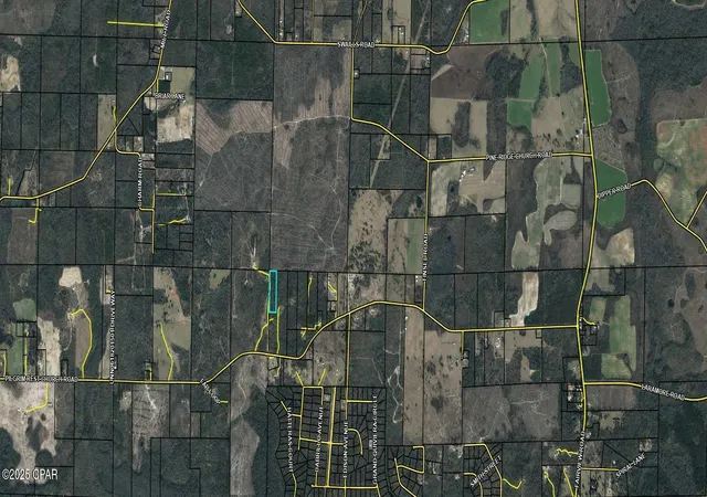 13th image of Tbd Pilgrim Rest Church Rd, Marianna, FL 32448 | MLS# 782396
