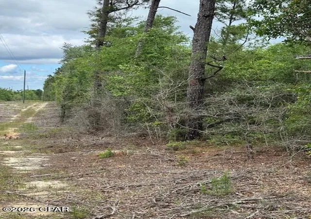1st image of Tbd Pilgrim Rest Church Rd, Marianna, FL 32448 | MLS# 782396