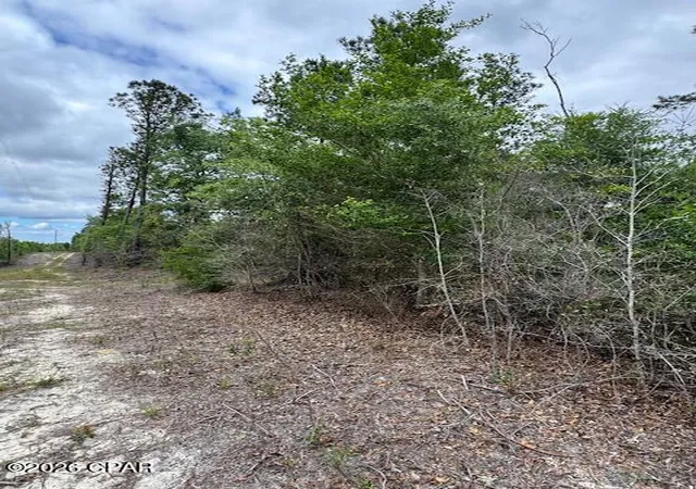 2nd image of Tbd Pilgrim Rest Church Rd, Marianna, FL 32448 | MLS# 782396