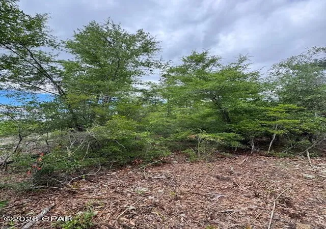 3rd image of Tbd Pilgrim Rest Church Rd, Marianna, FL 32448 | MLS# 782396