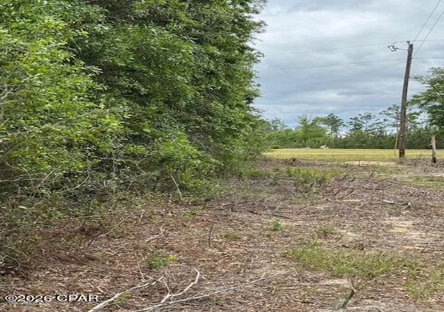 4th image of Tbd Pilgrim Rest Church Rd, Marianna, FL 32448 | MLS# 782396