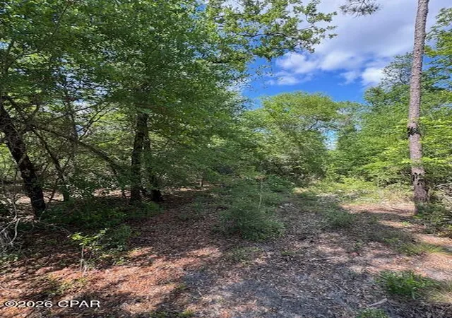 5th image of Tbd Pilgrim Rest Church Rd, Marianna, FL 32448 | MLS# 782396