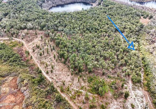 2nd image of 0 Pine Log Rd, Chipley, FL 32428 | MLS# 782404