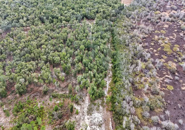 3rd image of 0 Pine Log Rd, Chipley, FL 32428 | MLS# 782404