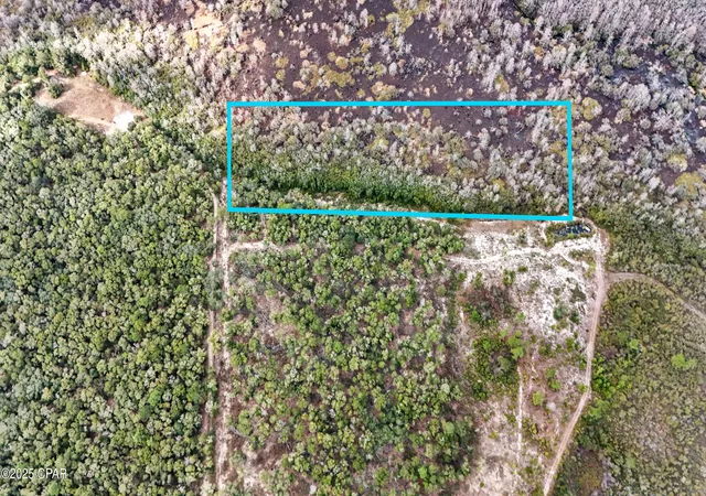 5th image of 0 Pine Log Rd, Chipley, FL 32428 | MLS# 782404