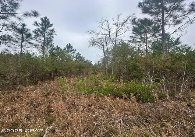 12th image of 00 Fl 71, Blountstown, FL 32424 | MLS# 782410