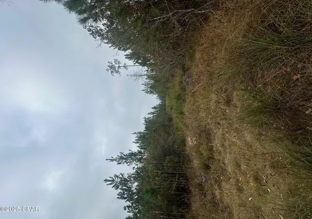 1st image of 00 Fl 71, Blountstown, FL 32424 | MLS# 782410