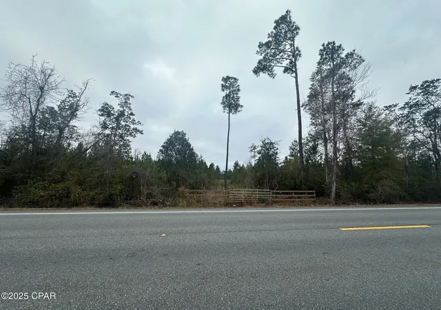 2nd image of 00 Fl 71, Blountstown, FL 32424 | MLS# 782410