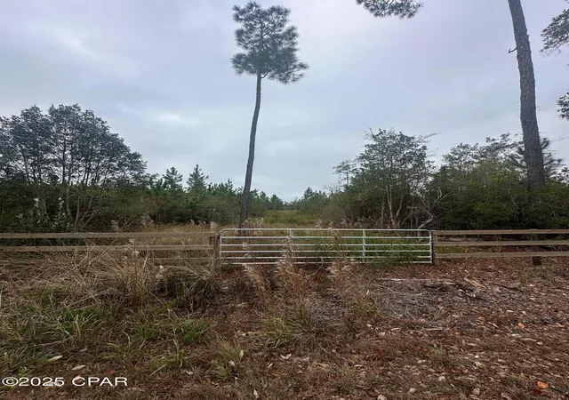 3rd image of 00 Fl-71, Blountstown, FL 32424 | MLS# 782410