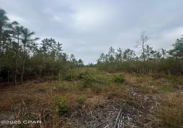 4th image of 00 Fl-71, Blountstown, FL 32424 | MLS# 782410