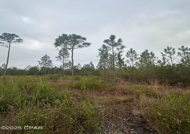 5th image of 00 Fl-71, Blountstown, FL 32424 | MLS# 782410