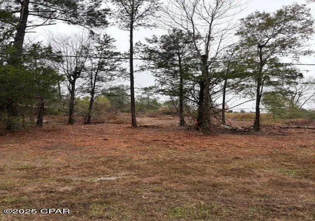 1st image of 4593 Meadowview Rd, Marianna, FL 32446 | MLS# 782494