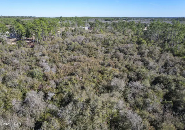 15th image of 0 Stevens Rd, Altha, FL 32421 | MLS# 782630