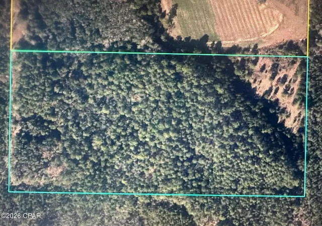 Homes for sale in Caryville, FL | 5033 Douglas Ferry Rd, Caryville, FL 32427 | MLS# 783516