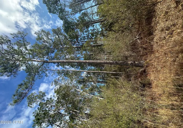 Homes for sale in Caryville, FL | 5033 Douglas Ferry Rd, Caryville, FL 32427 | MLS# 783516