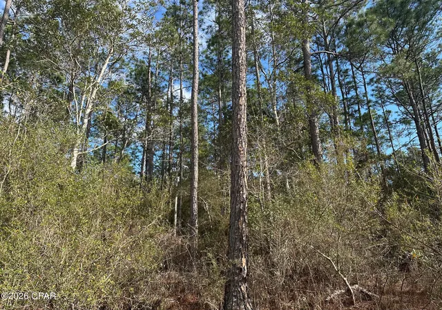 Homes for sale in Caryville, FL | 5033 Douglas Ferry Rd, Caryville, FL 32427 | MLS# 783516