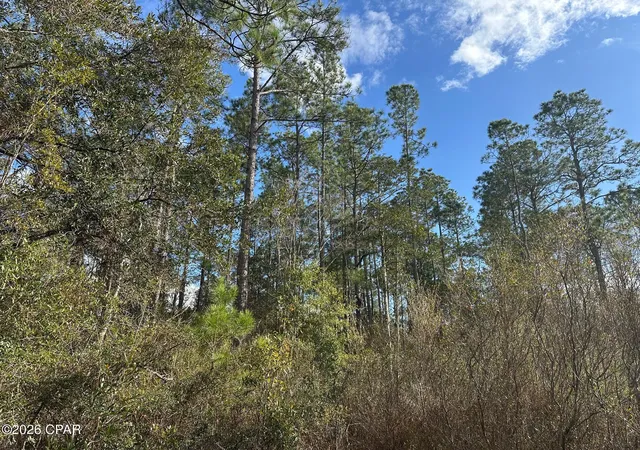 Homes for sale in Caryville, FL | 5033 Douglas Ferry Rd, Caryville, FL 32427 | MLS# 783516