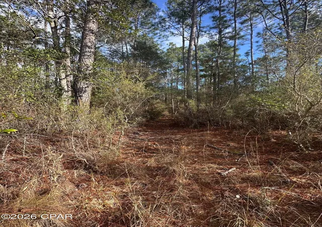 Homes for sale in Caryville, FL | 5033 Douglas Ferry Rd, Caryville, FL 32427 | MLS# 783516