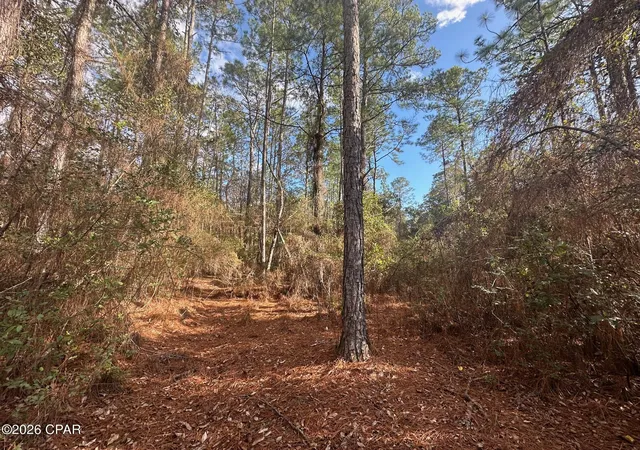 Homes for sale in Caryville, FL | 5033 Douglas Ferry Rd, Caryville, FL 32427 | MLS# 783516