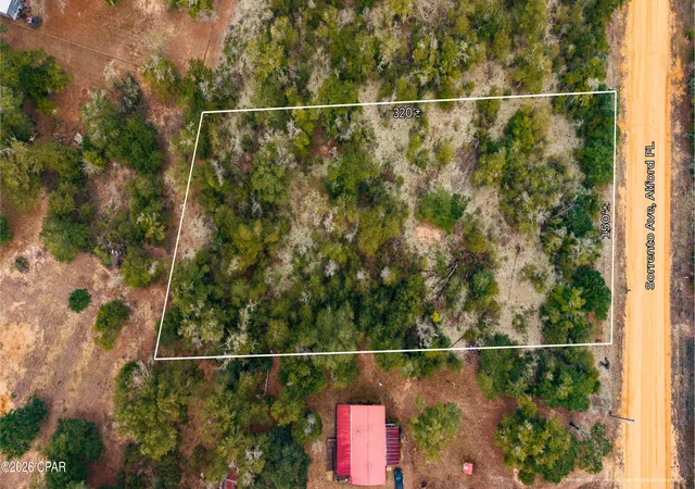 1st image of 0 Sorrento Ave, Alford, FL 32420 | MLS# 783702