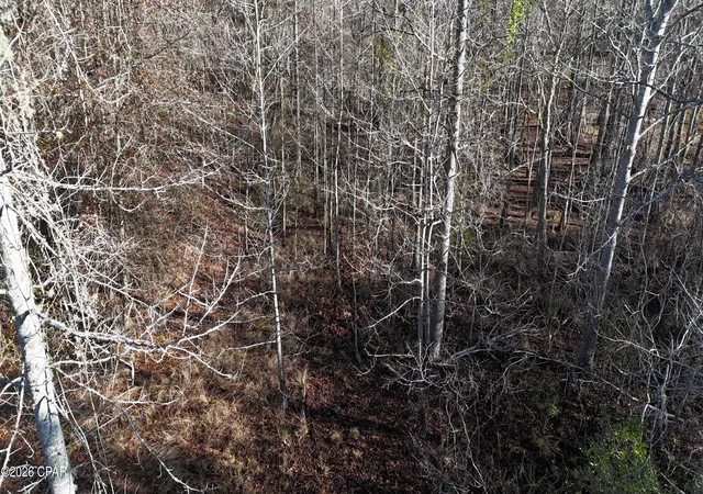 11th image of 3120 Mount Olive Rd, Bonifay, FL 32425 | MLS# 783726