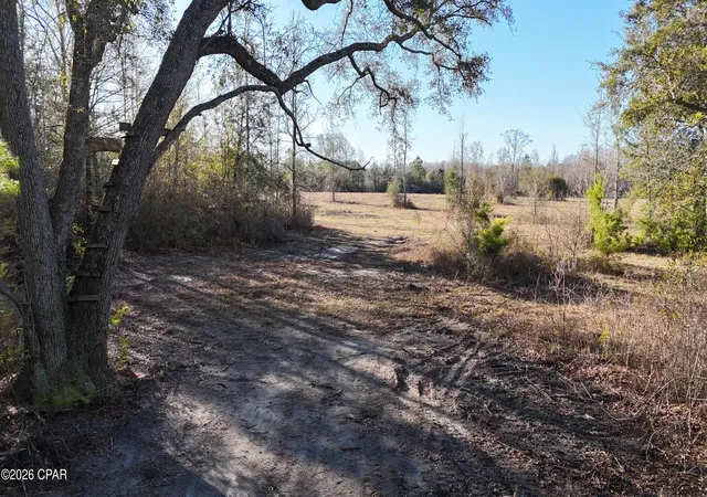 1st image of 3120 Mount Olive Rd, Bonifay, FL 32425 | MLS# 783726
